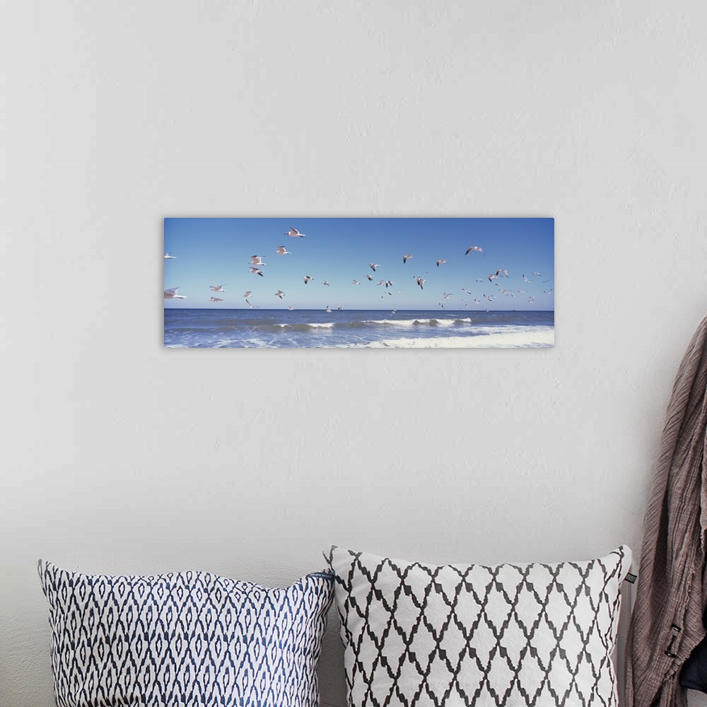A bohemian room featuring Panoramic photograph of seagull flock flying over water.