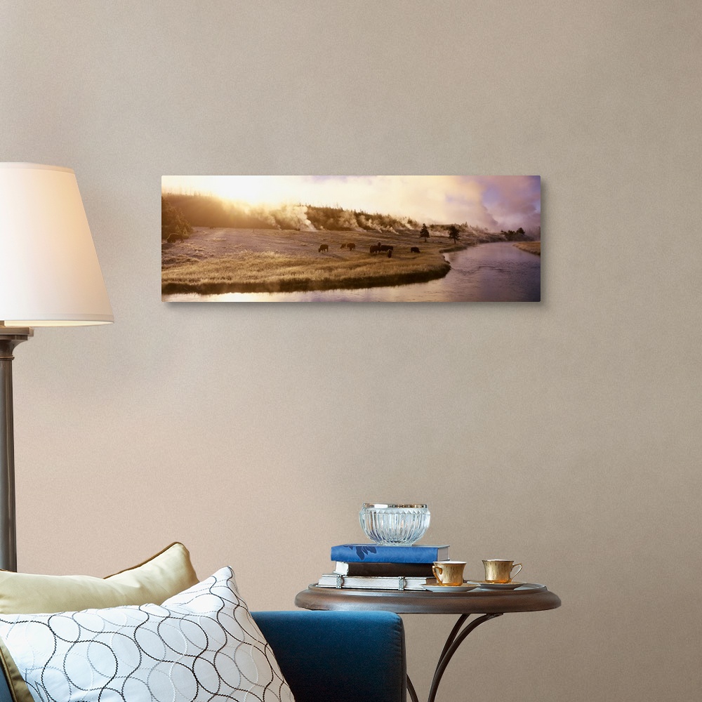 A traditional room featuring Panoramic photograph of a herd of buffalo grazing along the Firehole Rive in Yellowstone National...