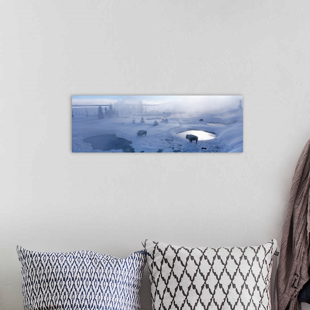 A bohemian room featuring Long horizontal photo on canvas of bison standing in a snowy landscape with steam coming up from ...