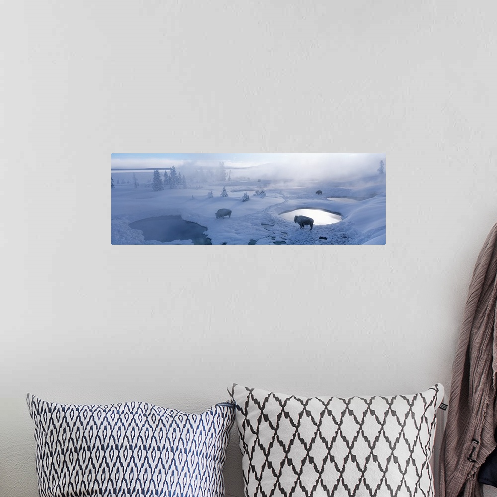 A bohemian room featuring Long horizontal photo on canvas of bison standing in a snowy landscape with steam coming up from ...