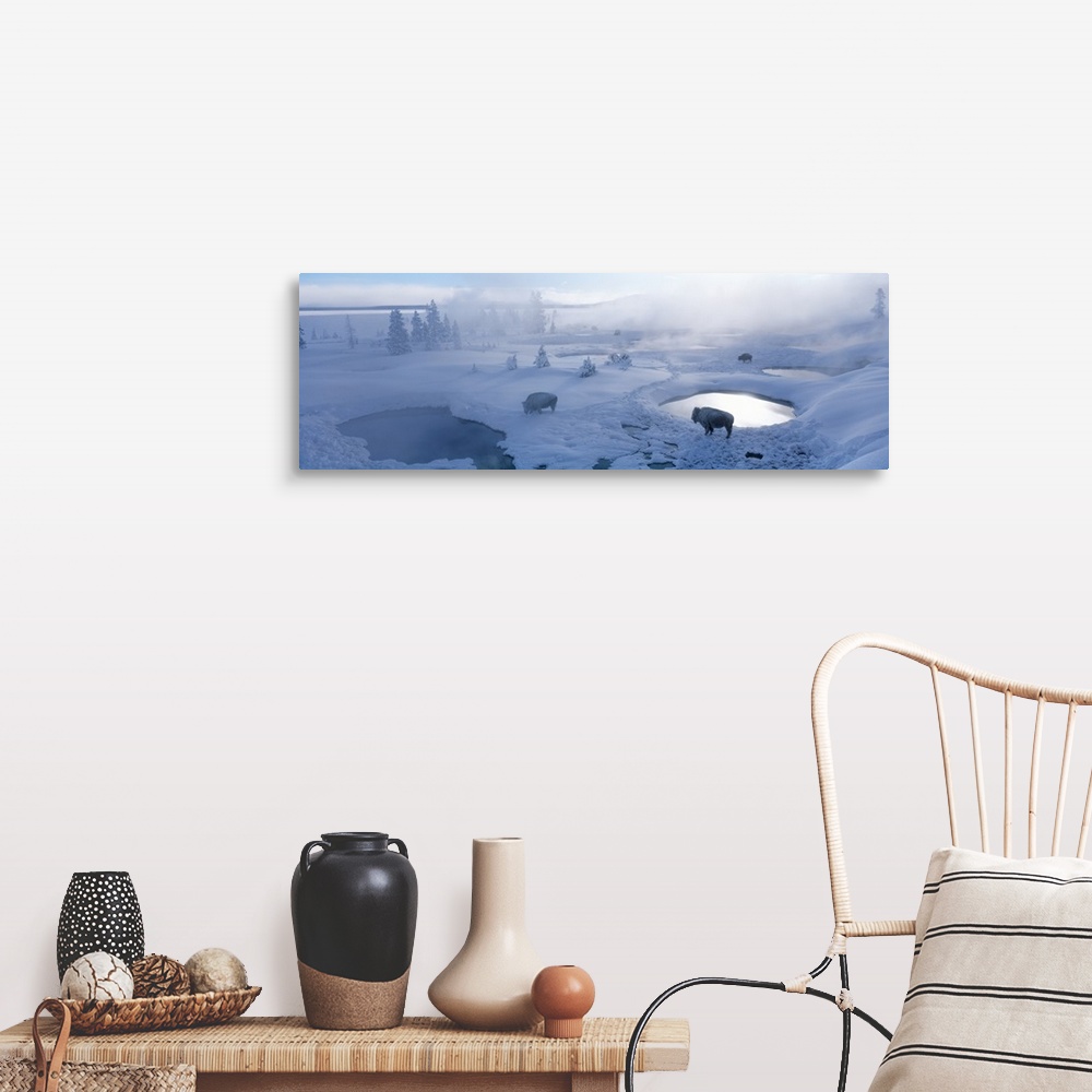 A farmhouse room featuring Long horizontal photo on canvas of bison standing in a snowy landscape with steam coming up from ...