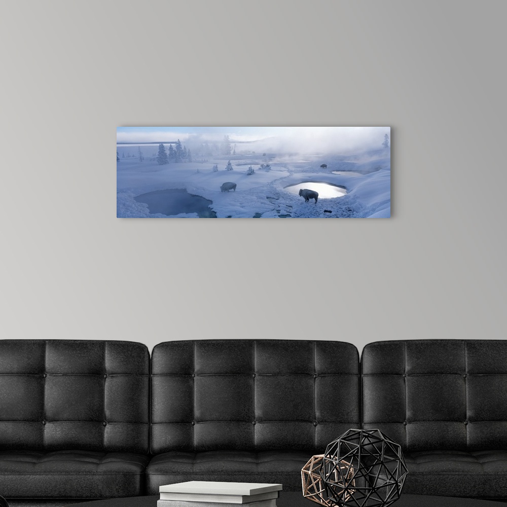 A modern room featuring Long horizontal photo on canvas of bison standing in a snowy landscape with steam coming up from ...