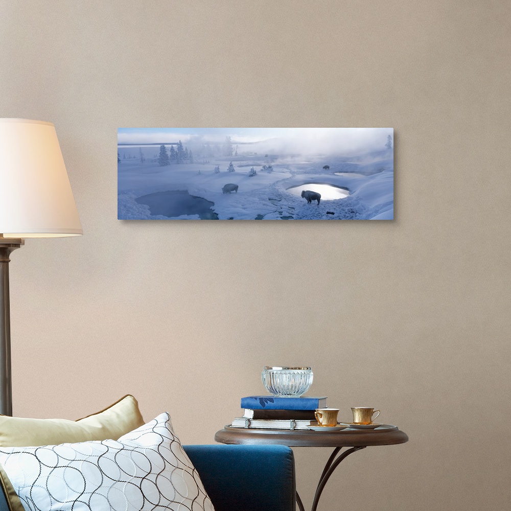 A traditional room featuring Long horizontal photo on canvas of bison standing in a snowy landscape with steam coming up from ...