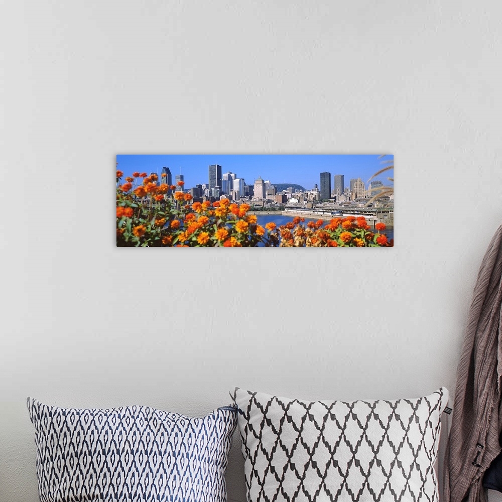 A bohemian room featuring Blooming flowers with city skyline in the background, Montreal, Quebec, Canada