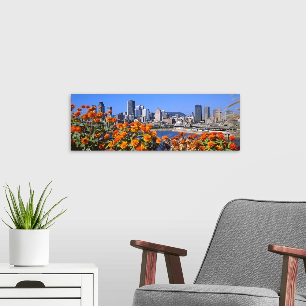 A modern room featuring Blooming flowers with city skyline in the background, Montreal, Quebec, Canada