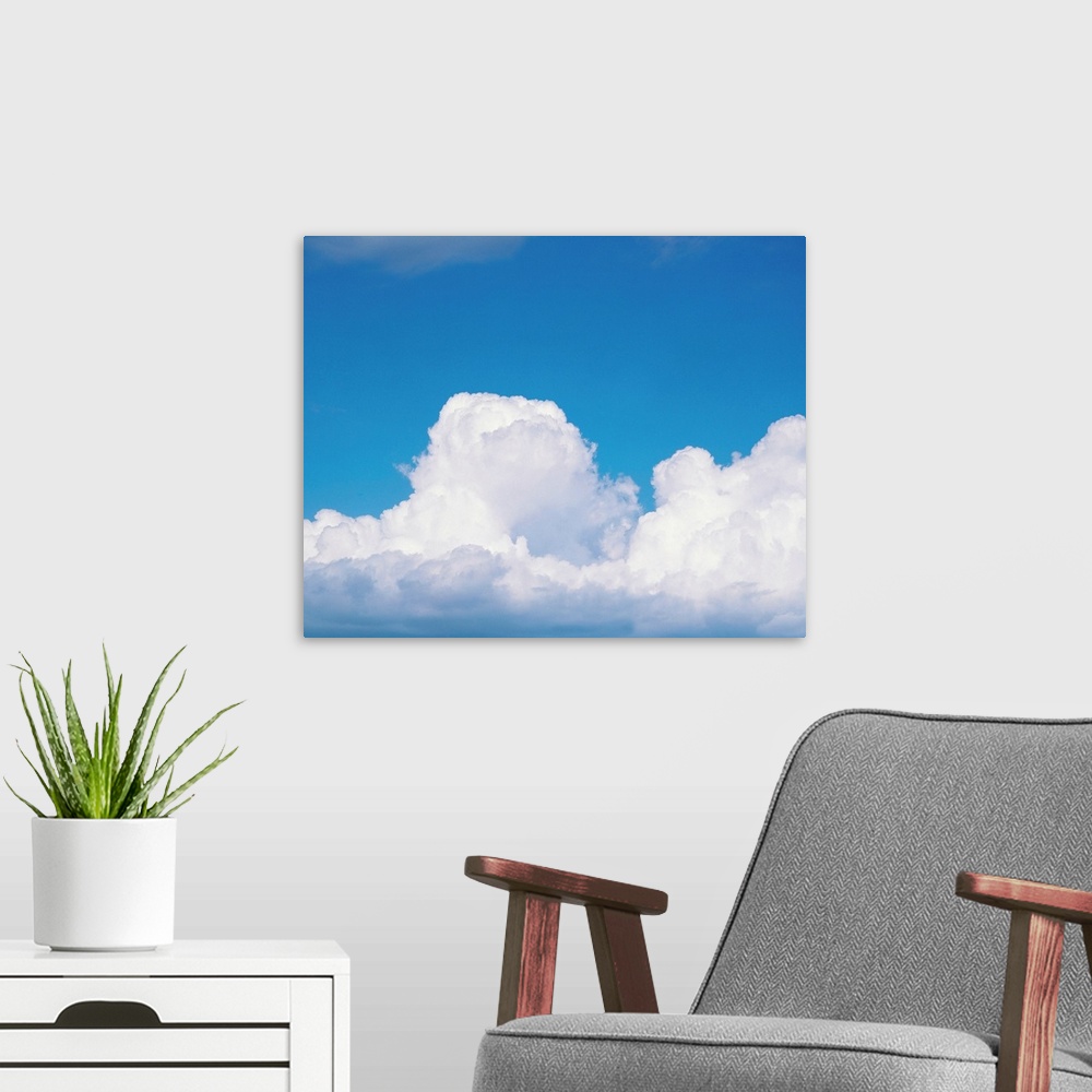 A modern room featuring Blue sky and cumulus clouds