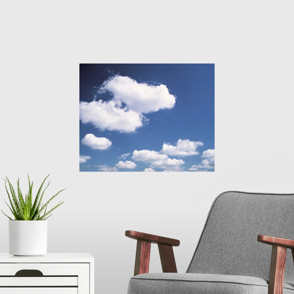 A modern room featuring Blue sky and cumulus clouds II