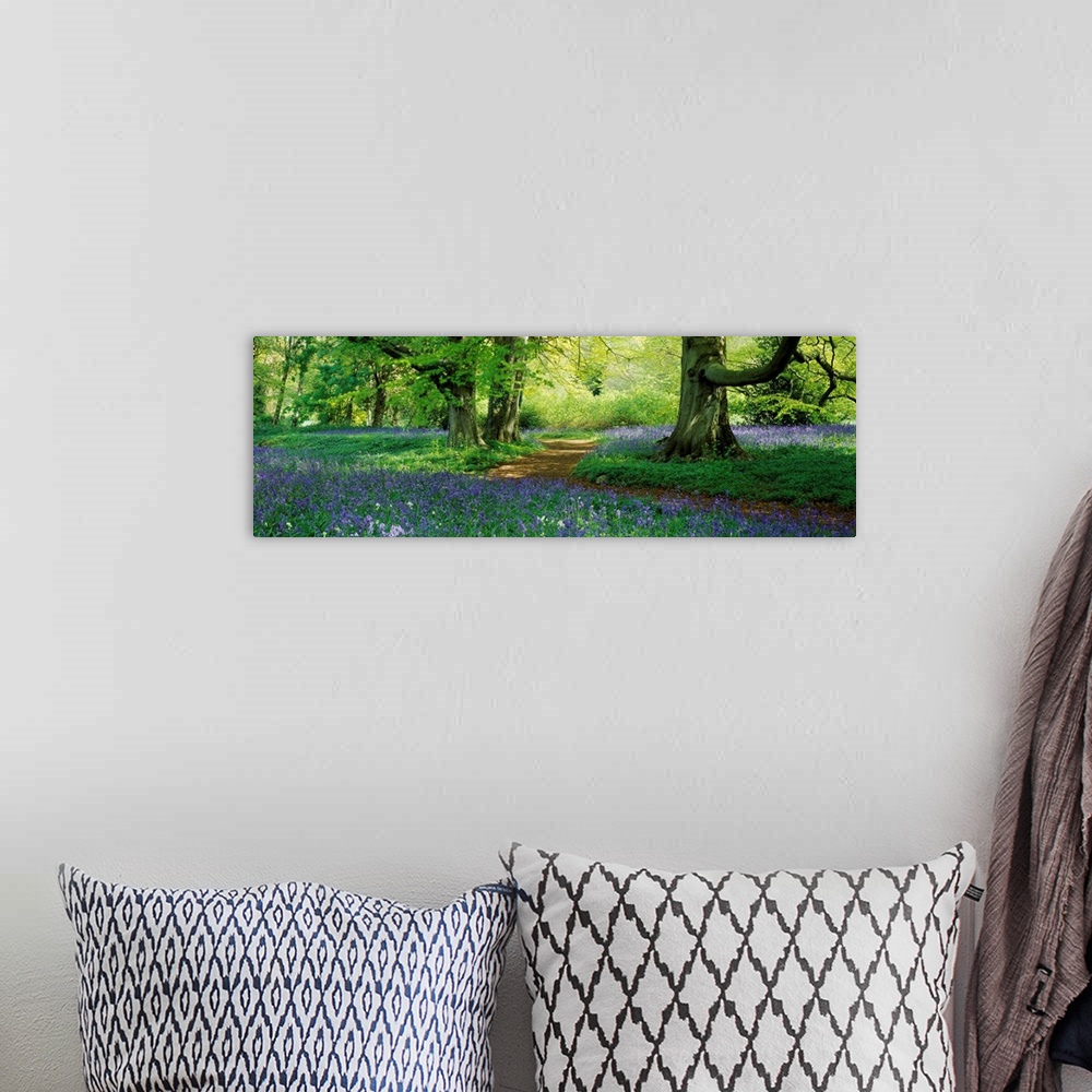 A bohemian room featuring A panoramic photograph of a path through the woods lined with wildflowers.