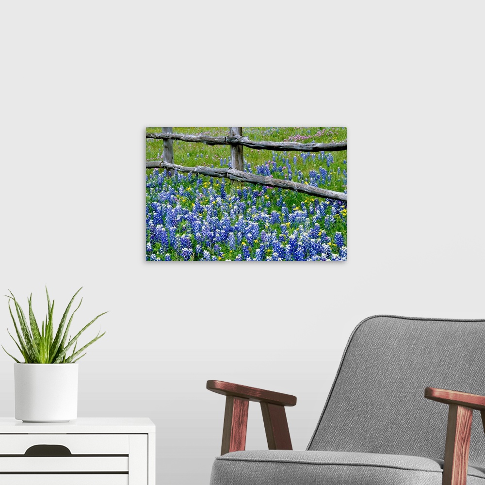A modern room featuring This wall art for the home or office is a landscape photograph of the bottom of the fence in a fi...
