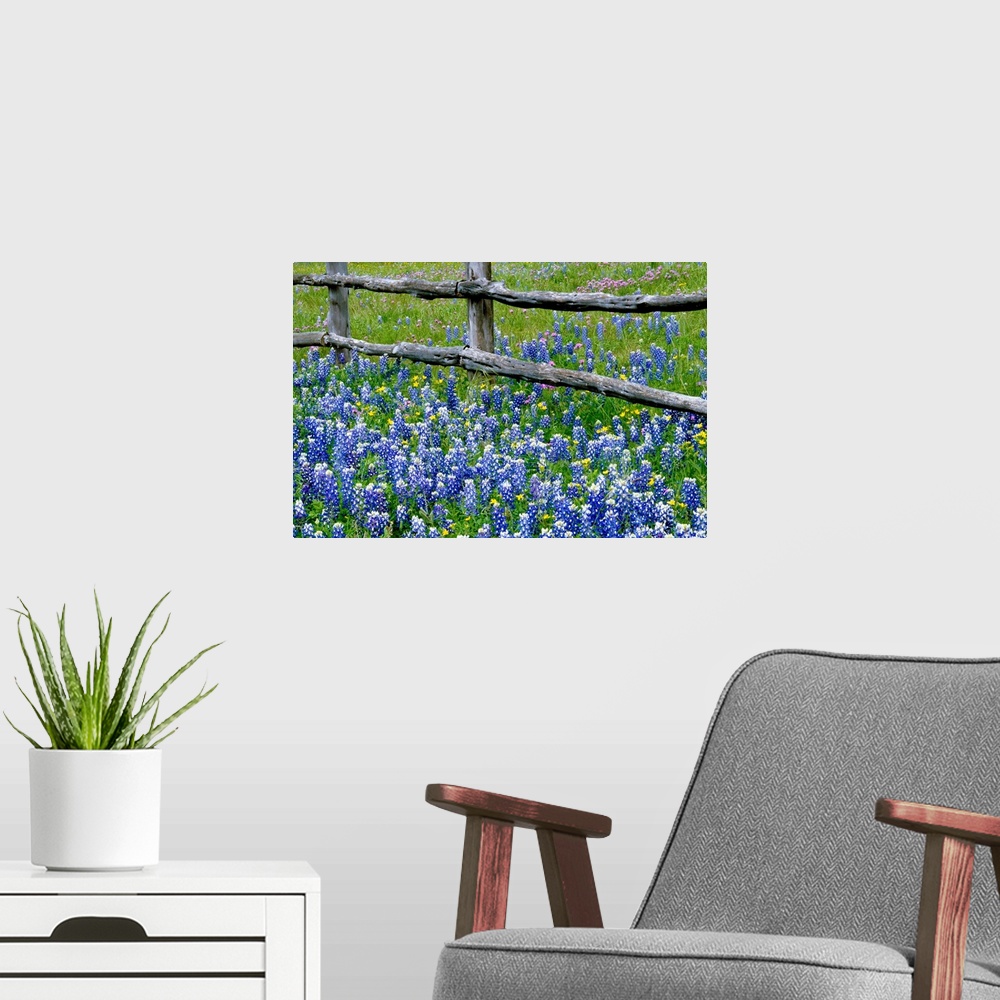 A modern room featuring This wall art for the home or office is a landscape photograph of the bottom of the fence in a fi...