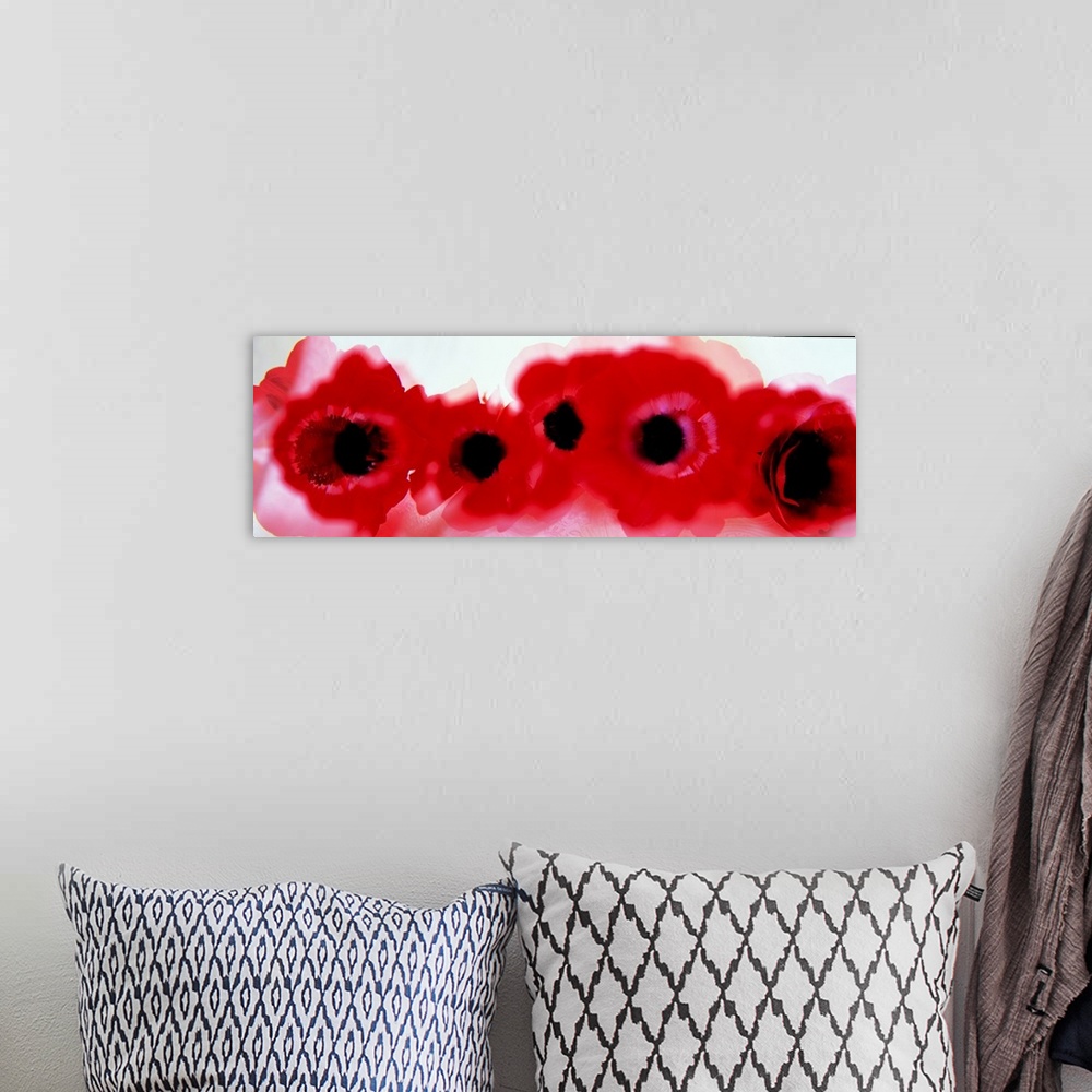 A bohemian room featuring Oversized, landscape photograph of a line of large, deep red flowers that are heavily blurred.