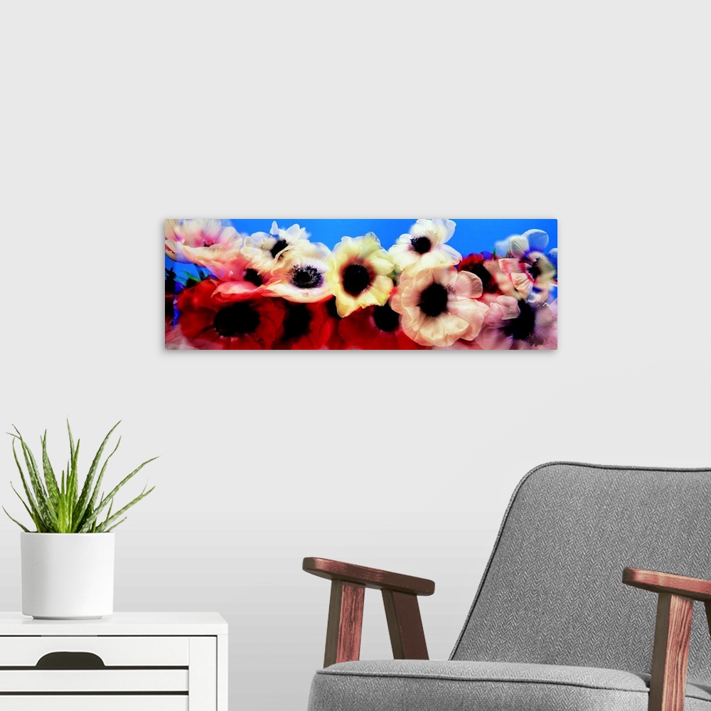 A modern room featuring Blurred Flowers