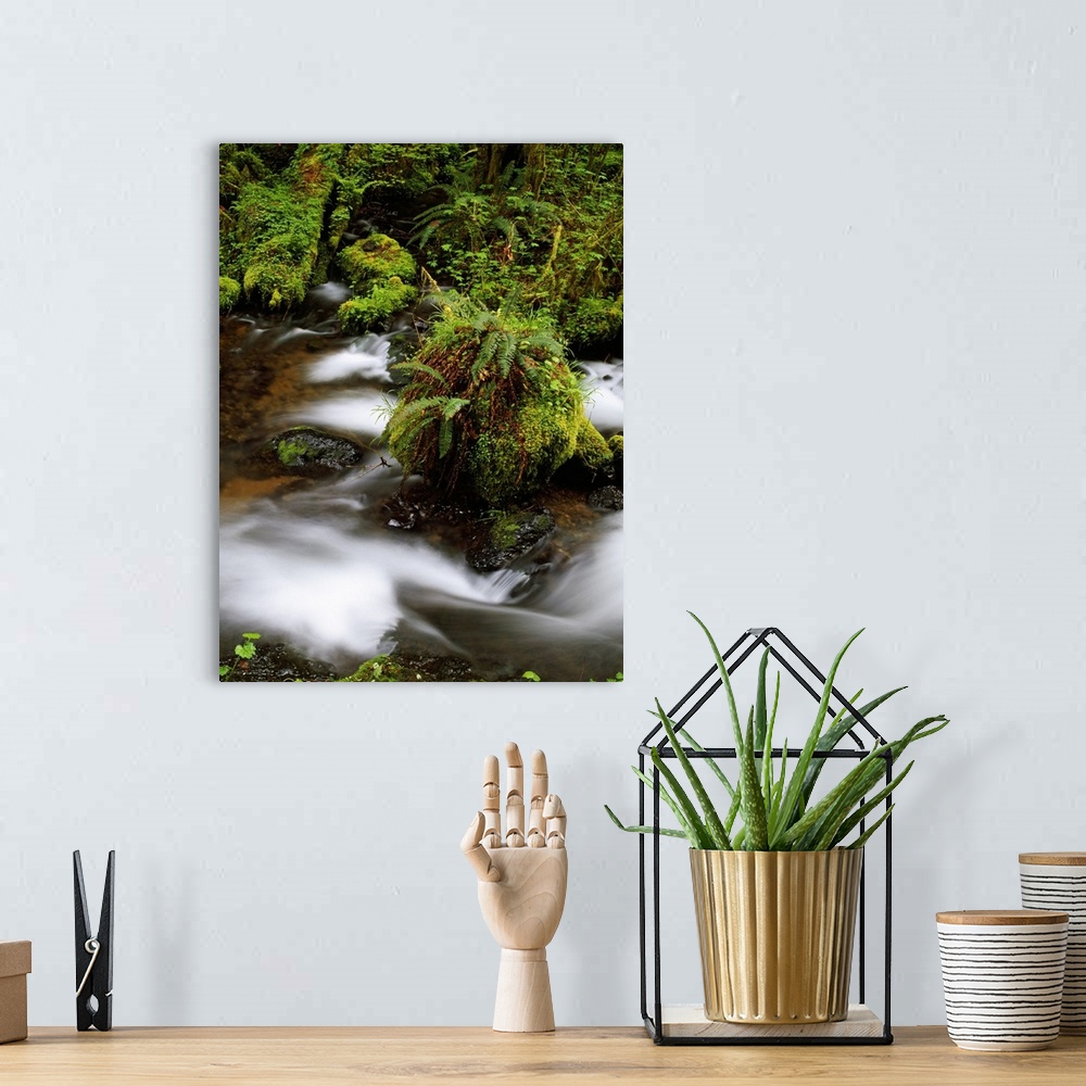 A bohemian room featuring Blurred Motion Water Falls
