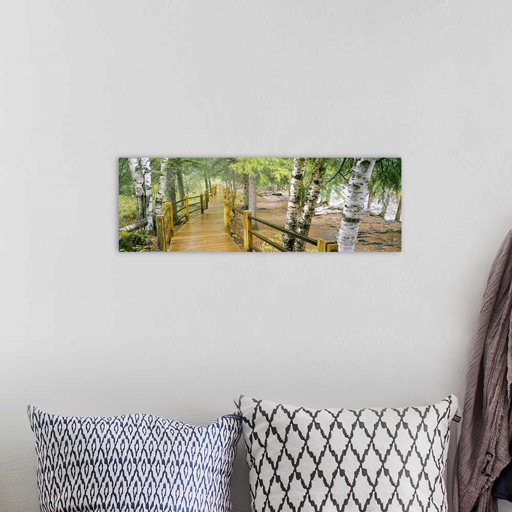 A bohemian room featuring This panoramic shot is taken of an elevated walking path through a forest and along a river with ...