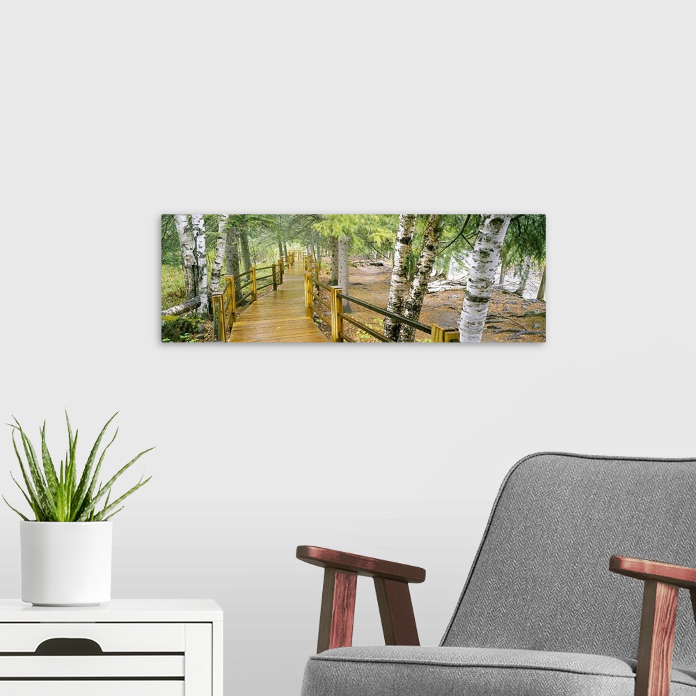 A modern room featuring This panoramic shot is taken of an elevated walking path through a forest and along a river with ...