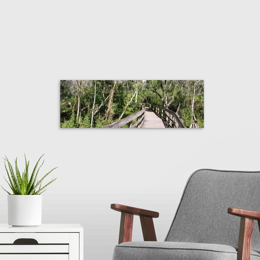 A modern room featuring Boardwalk passing through a forest Lettuce Lake Park Tampa Hillsborough County Florida