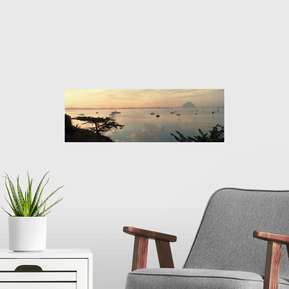 A modern room featuring Wide angle photograph on a big canvas looking over a hillside at many small boats in the still wa...
