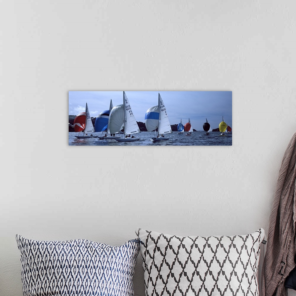 A bohemian room featuring Boats in regatta, Baie De Douarnenez, Finistere, Brittany, France
