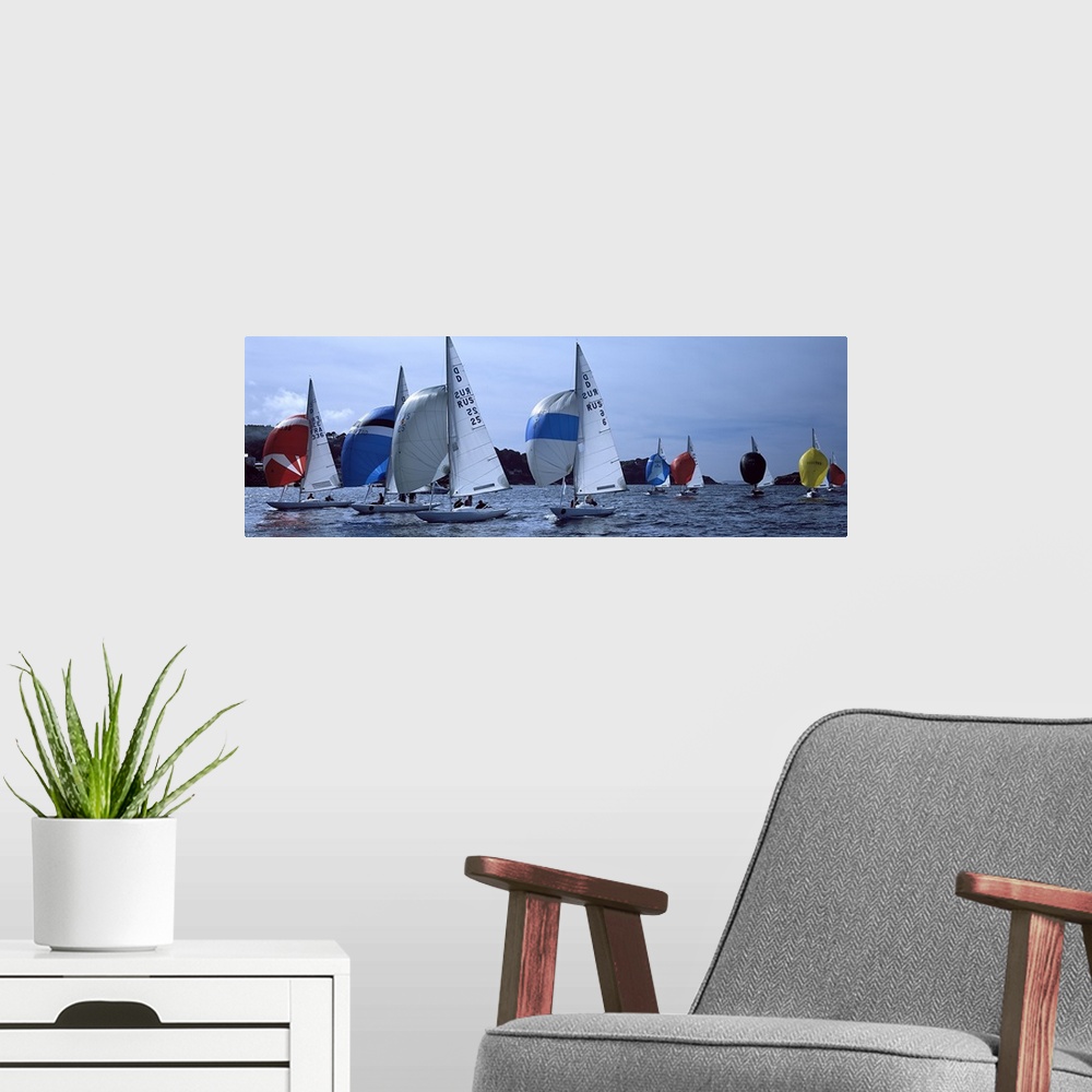 A modern room featuring Boats in regatta, Baie De Douarnenez, Finistere, Brittany, France