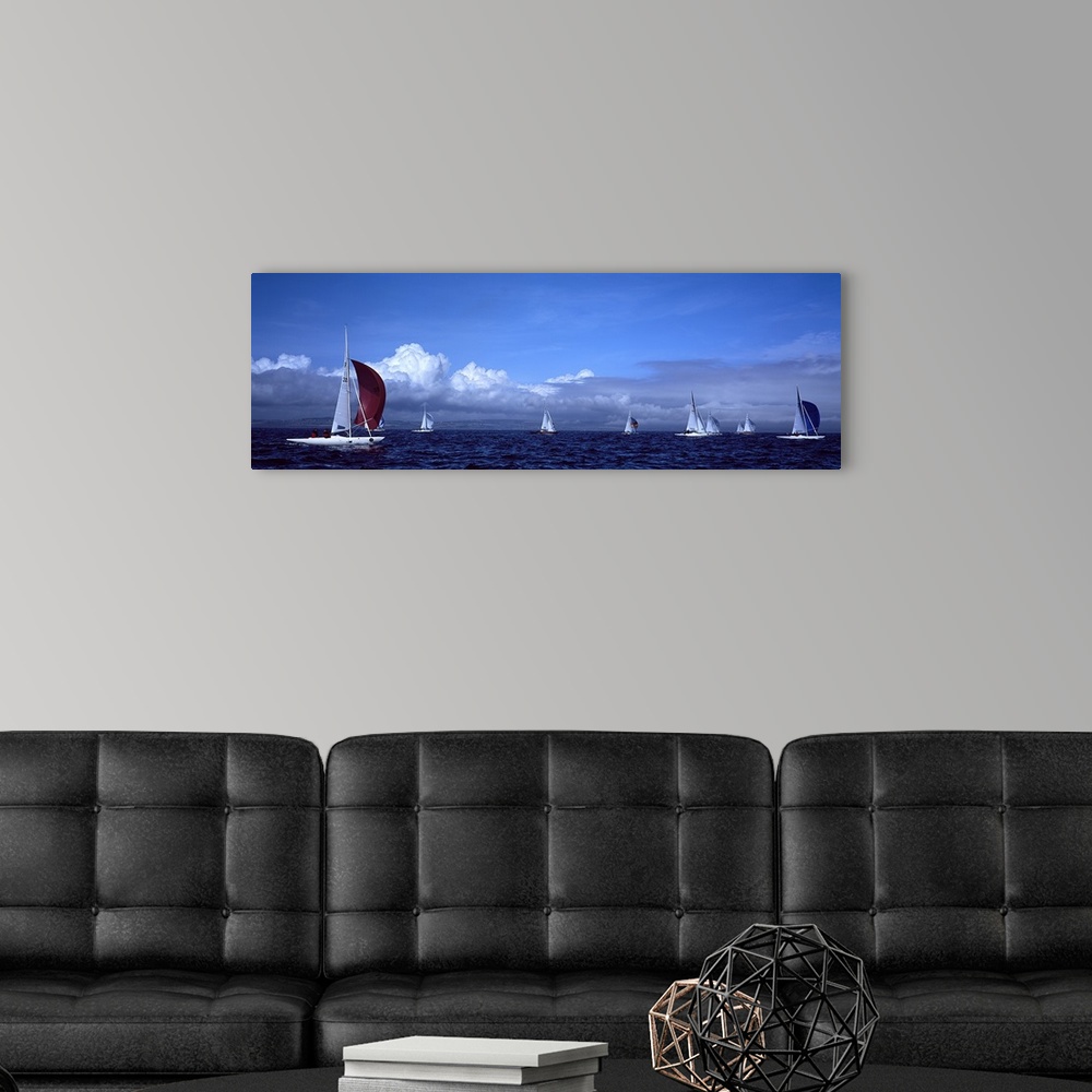 A modern room featuring Boats in regatta, Baie De Douarnenez, Finistere, Brittany, France