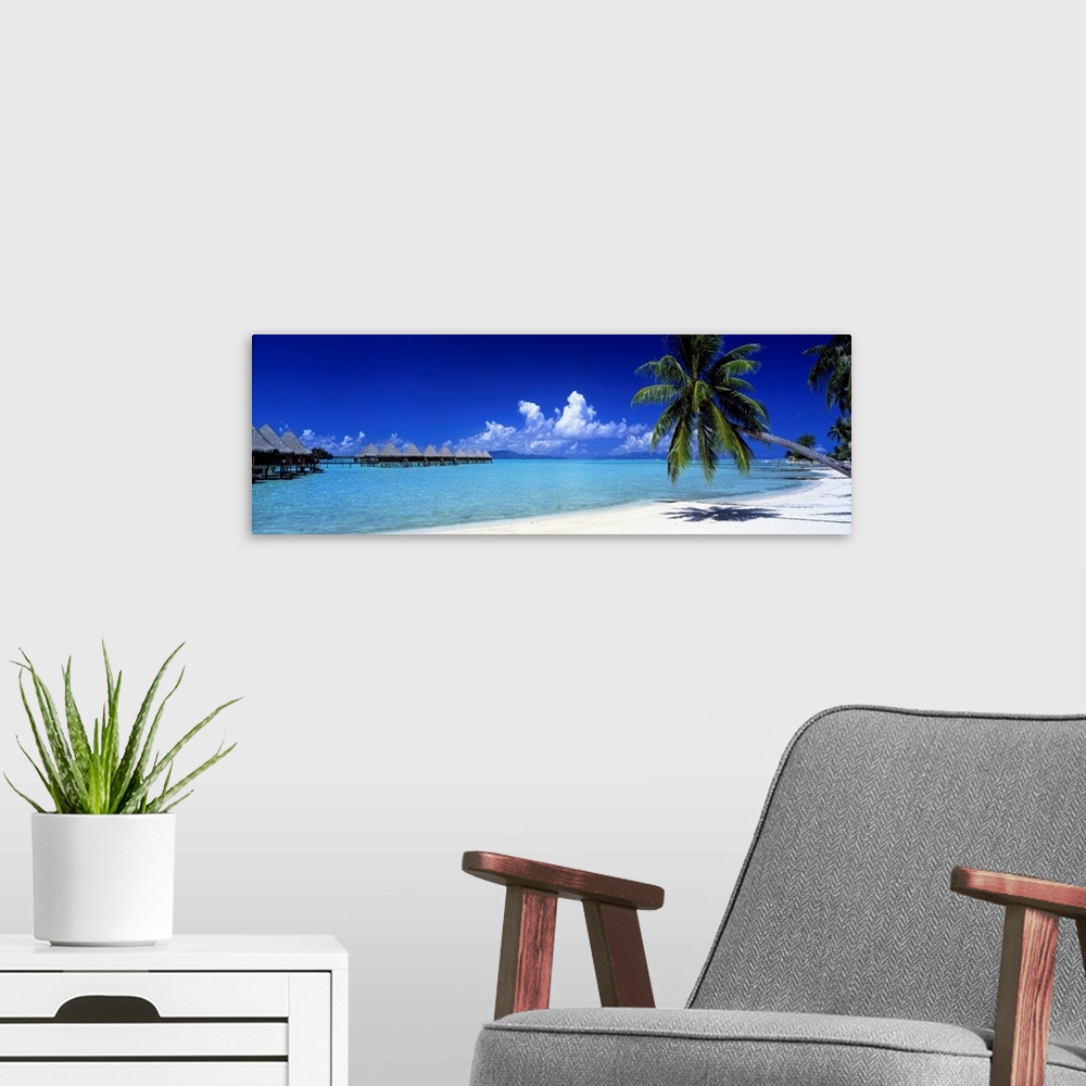 A modern room featuring Panoramic photograph shows a couple of palm trees sitting on a sandy beach in Bora Bora during a ...