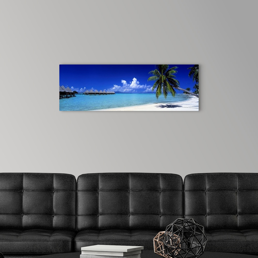 A modern room featuring Panoramic photograph shows a couple of palm trees sitting on a sandy beach in Bora Bora during a ...