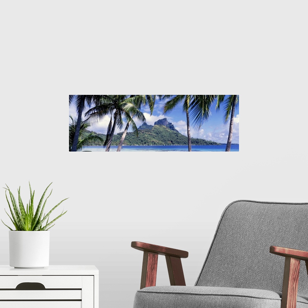 A modern room featuring Oversized, landscape photograph of palm trees swaying over the island of Bora Bora, in the distan...