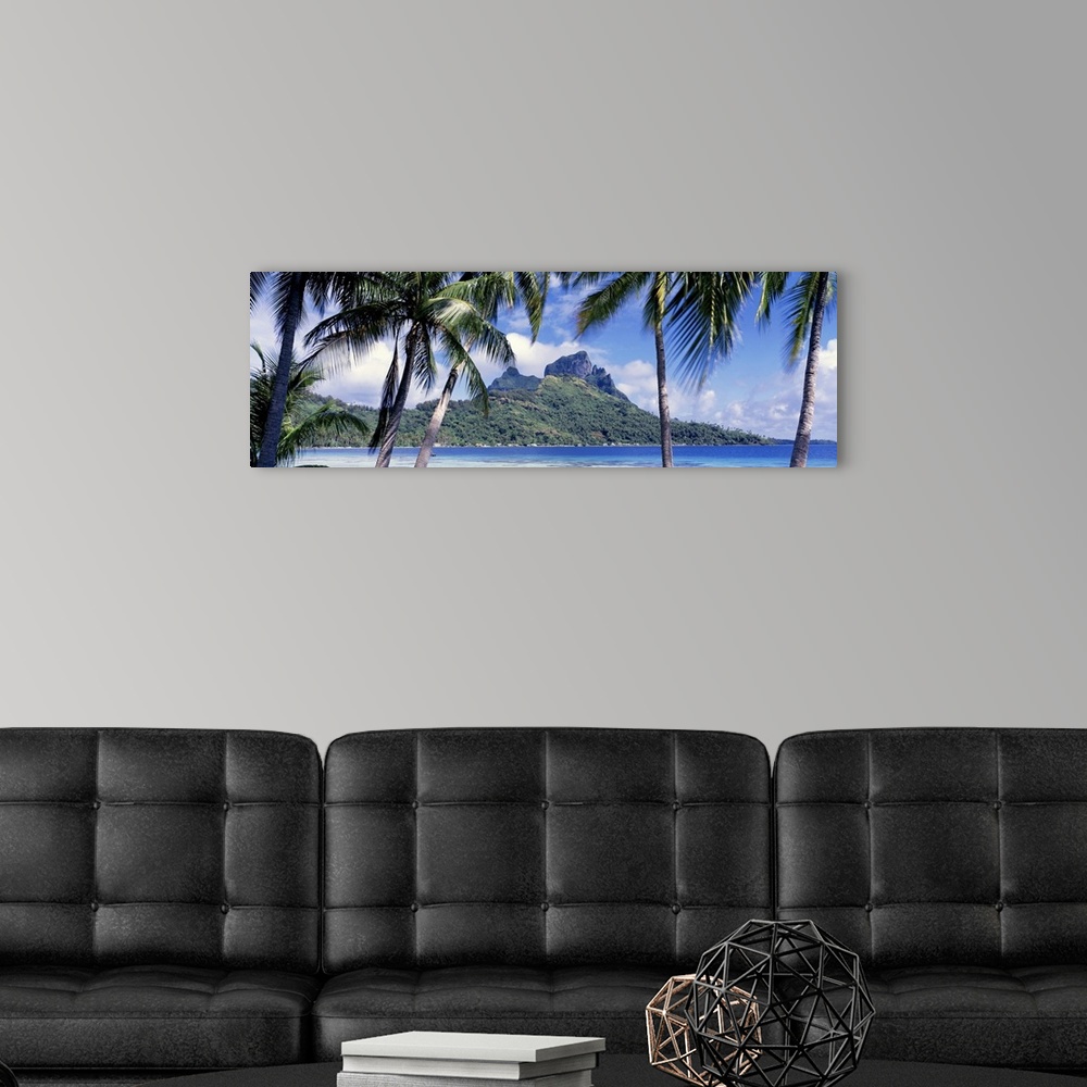 A modern room featuring Oversized, landscape photograph of palm trees swaying over the island of Bora Bora, in the distan...