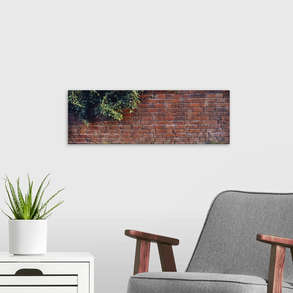 A modern room featuring Brick Wall with Ivy UK