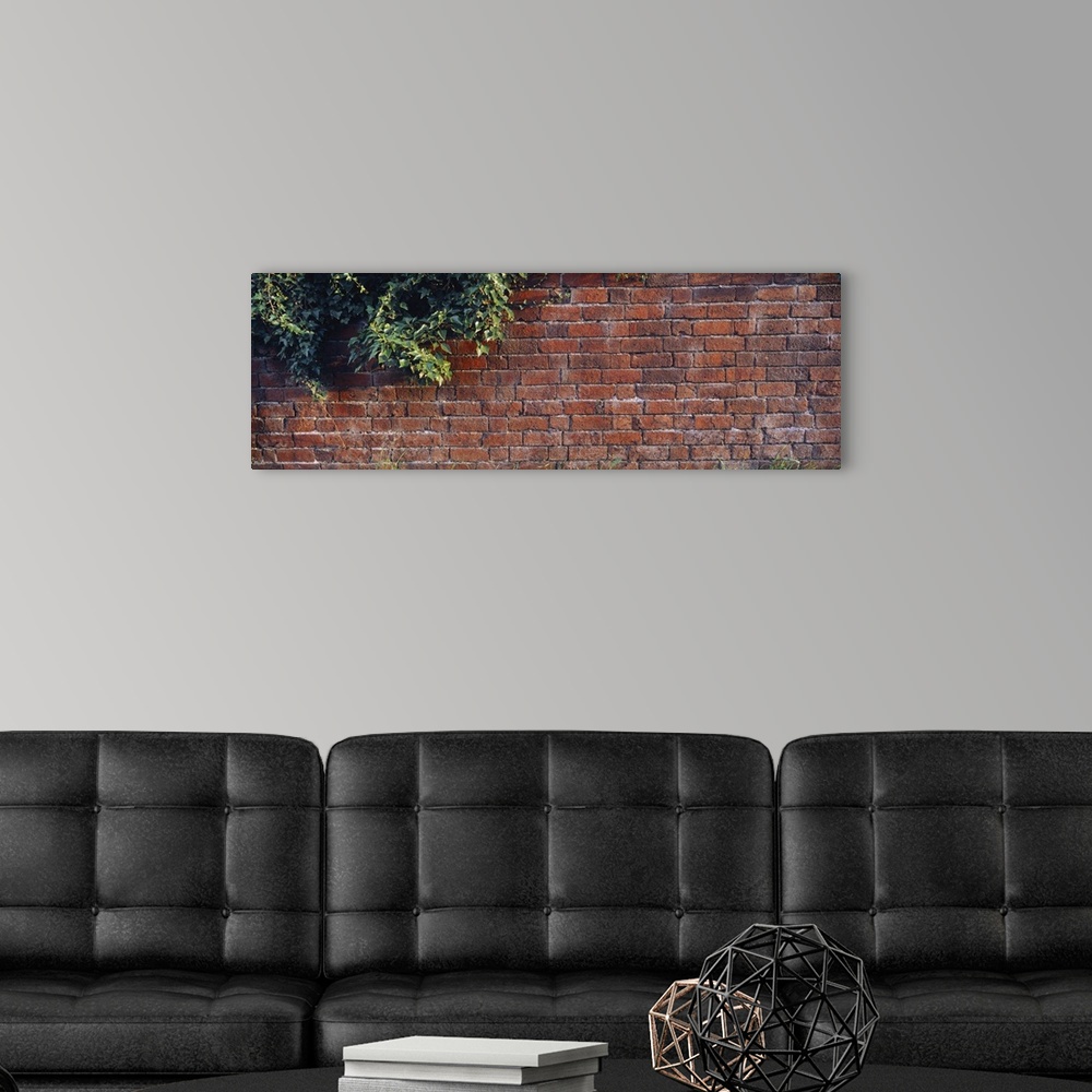 A modern room featuring Brick Wall with Ivy UK