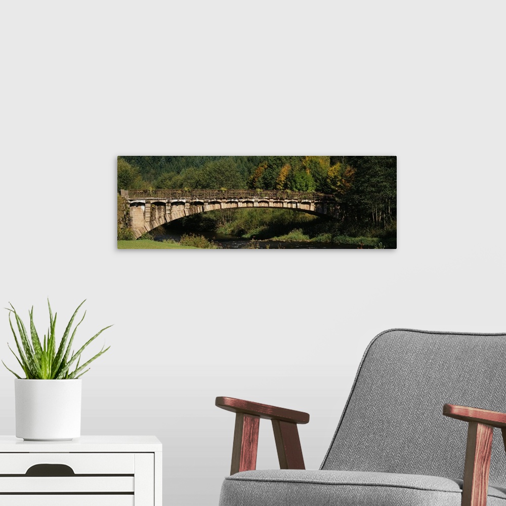 A modern room featuring Bridge in a forest, Black Forest, Germany