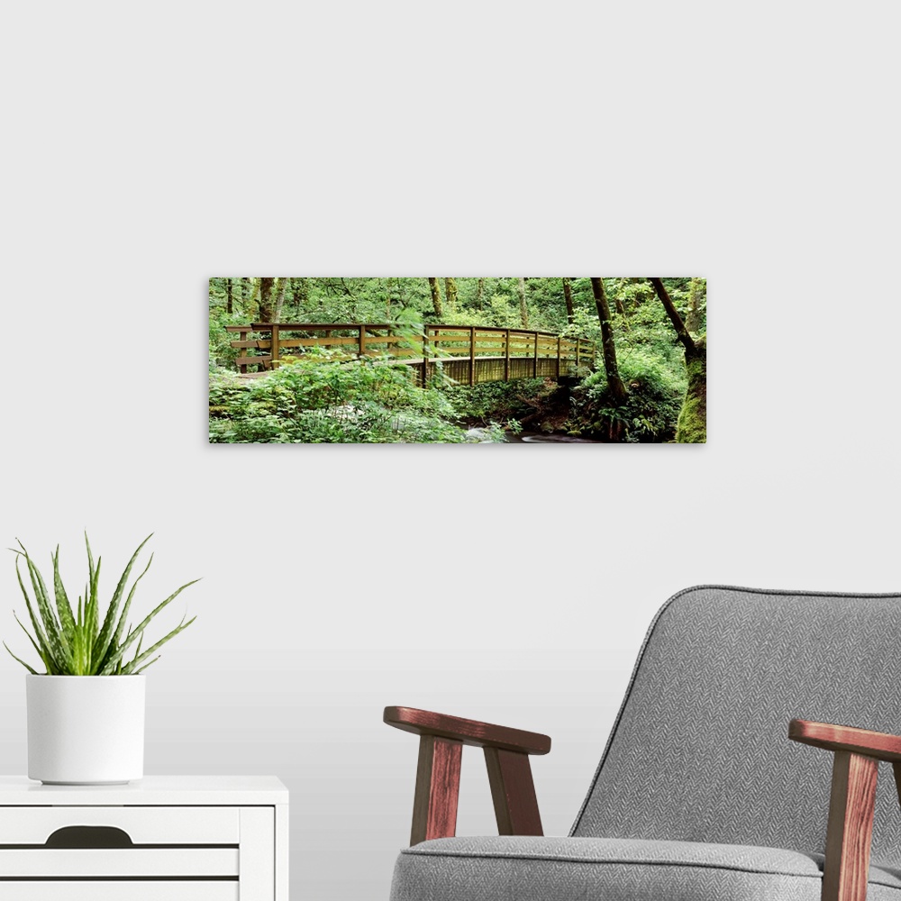 A modern room featuring Bridge in a forest Bridal Veil Falls Oregon Columbia Gorge National Scenic Area Columbia River Go...