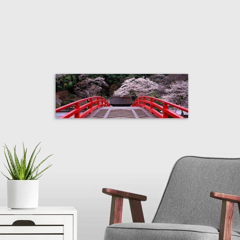 A modern room featuring Photo print of flowering trees in Japan as seen from a bridge.