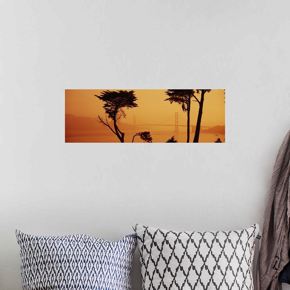A bohemian room featuring Panoramic photograph shows the silhouette of a couple of trees in front of a landscape blanketed ...
