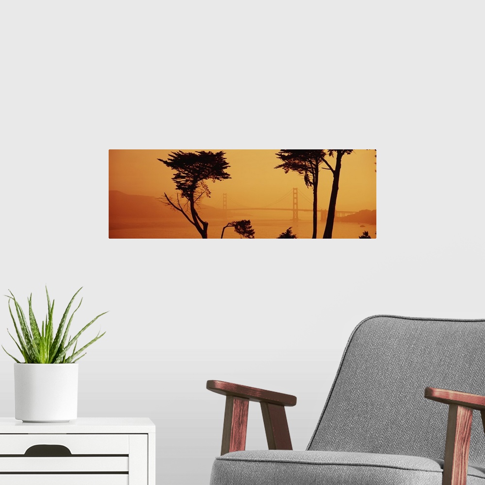 A modern room featuring Panoramic photograph shows the silhouette of a couple of trees in front of a landscape blanketed ...
