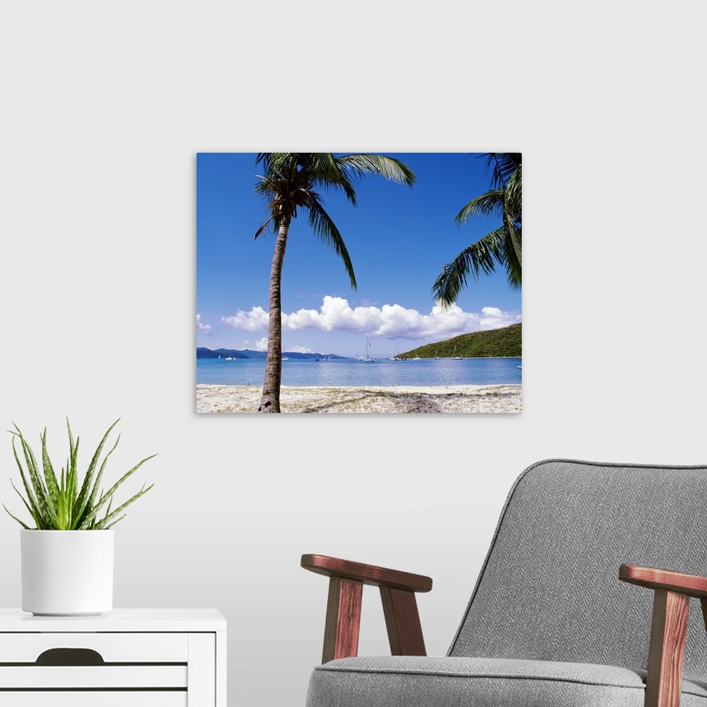 A modern room featuring In this photograph palm trees on a beach in the foreground look out over sailboats at sea and clo...
