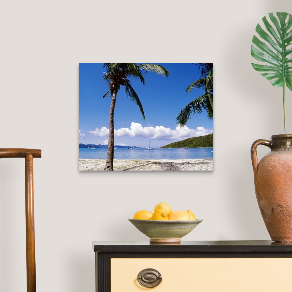 A traditional room featuring In this photograph palm trees on a beach in the foreground look out over sailboats at sea and clo...