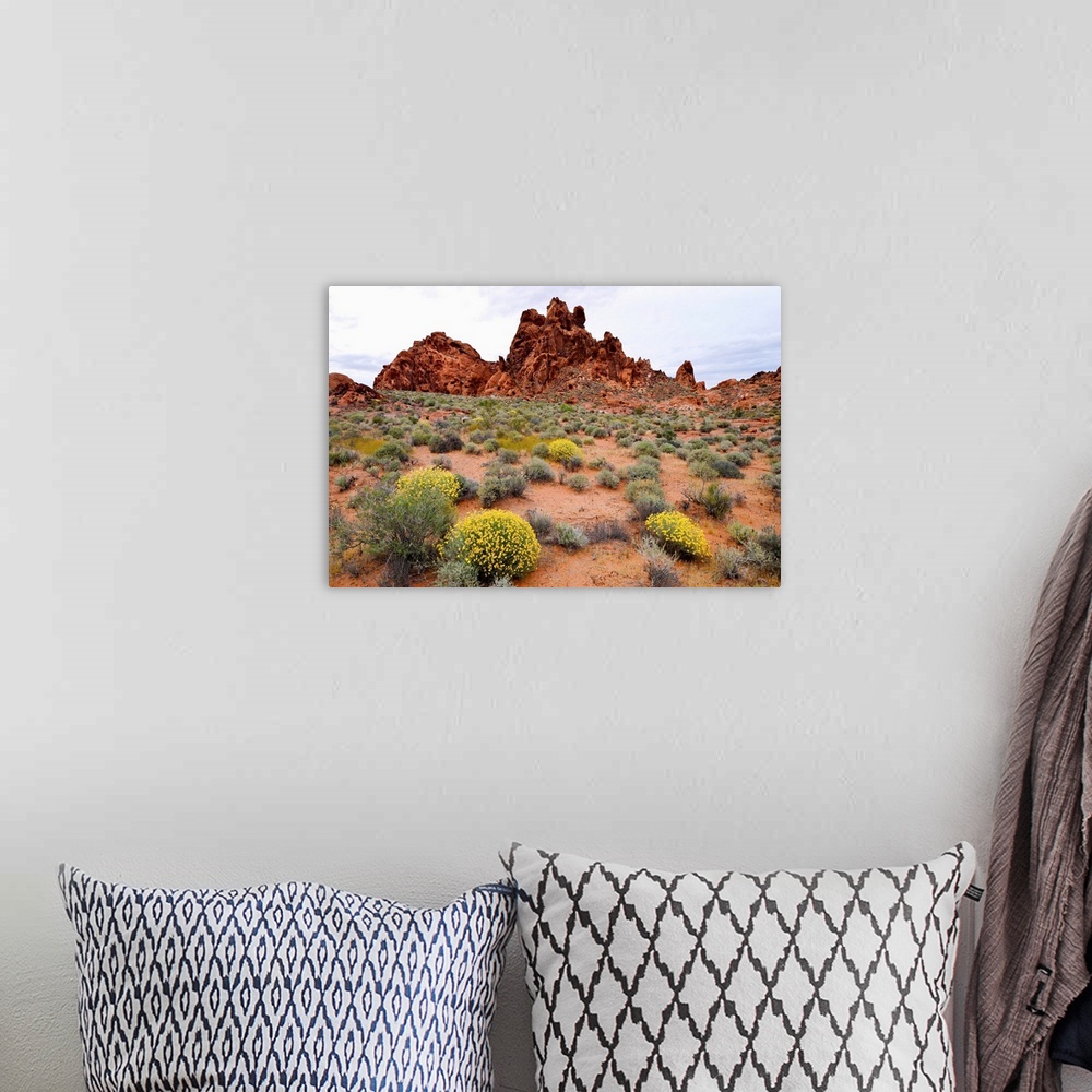 A bohemian room featuring Brittlebush and sandstone formations in a desert, Valley of Fire State Park, Nevada