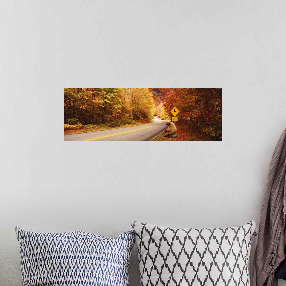A bohemian room featuring Panoramic photograph of road winding through fall forest with a posted deer crossing sign.