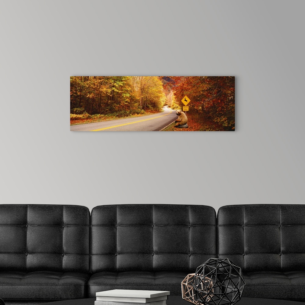 A modern room featuring Panoramic photograph of road winding through fall forest with a posted deer crossing sign.