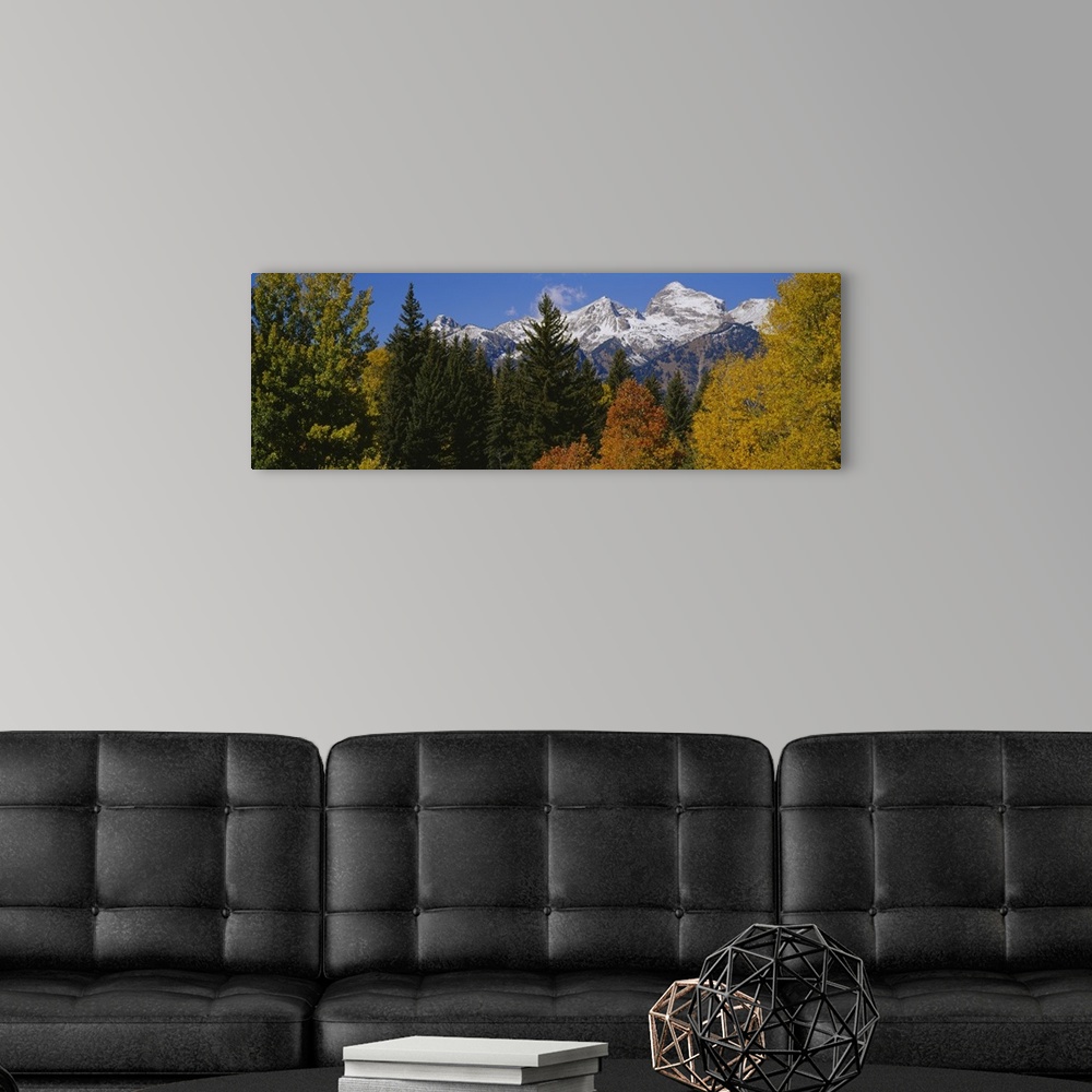A modern room featuring Buck Mountain and Fall Color Grand Teton National Park WY