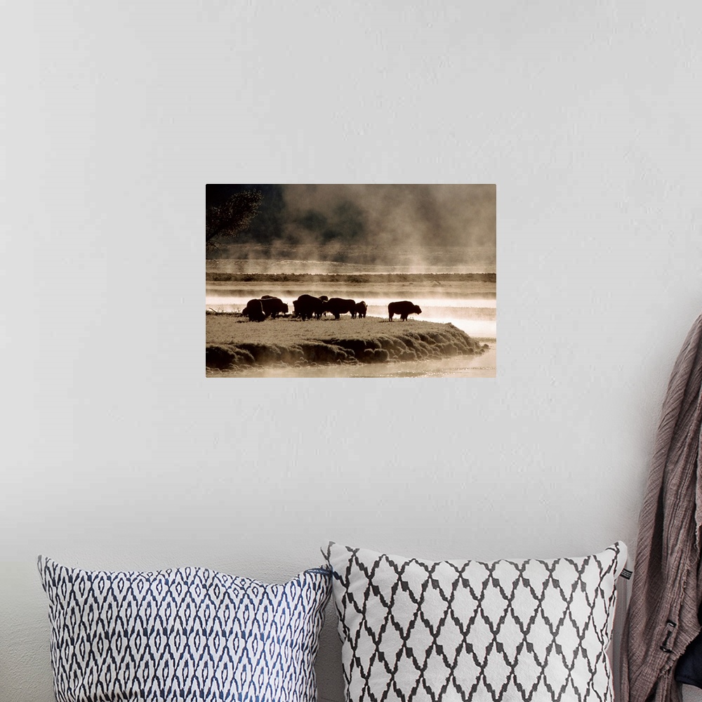 A bohemian room featuring Oversized landscape photograph of a group of buffalo, grazing near the waters edge on a foggy mor...