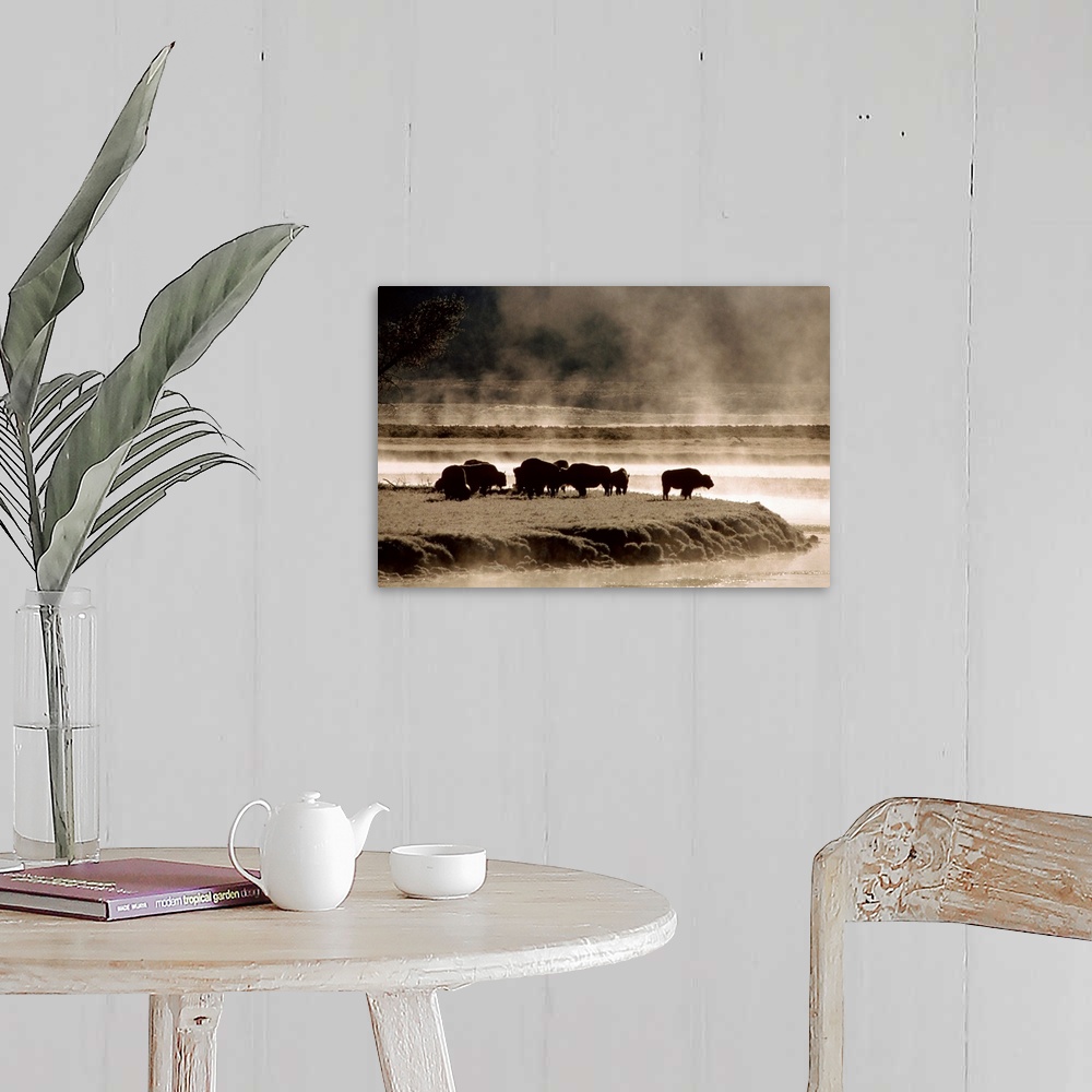 A farmhouse room featuring Oversized landscape photograph of a group of buffalo, grazing near the waters edge on a foggy mor...