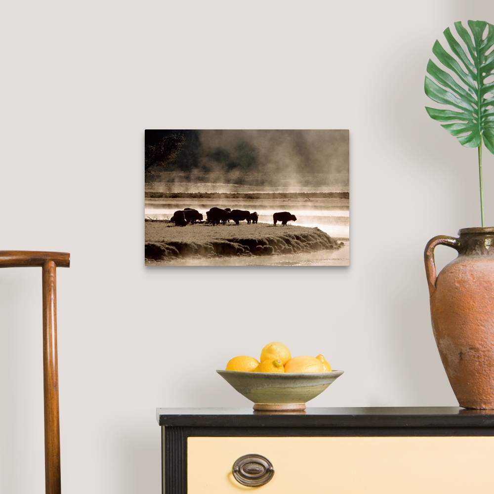 A traditional room featuring Oversized landscape photograph of a group of buffalo, grazing near the waters edge on a foggy mor...