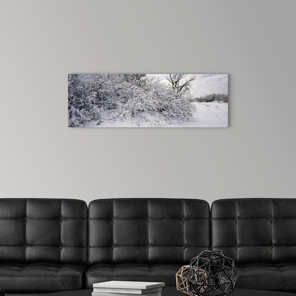 A modern room featuring Bushes covered with snow, La Sal Mountains, Moab, Utah