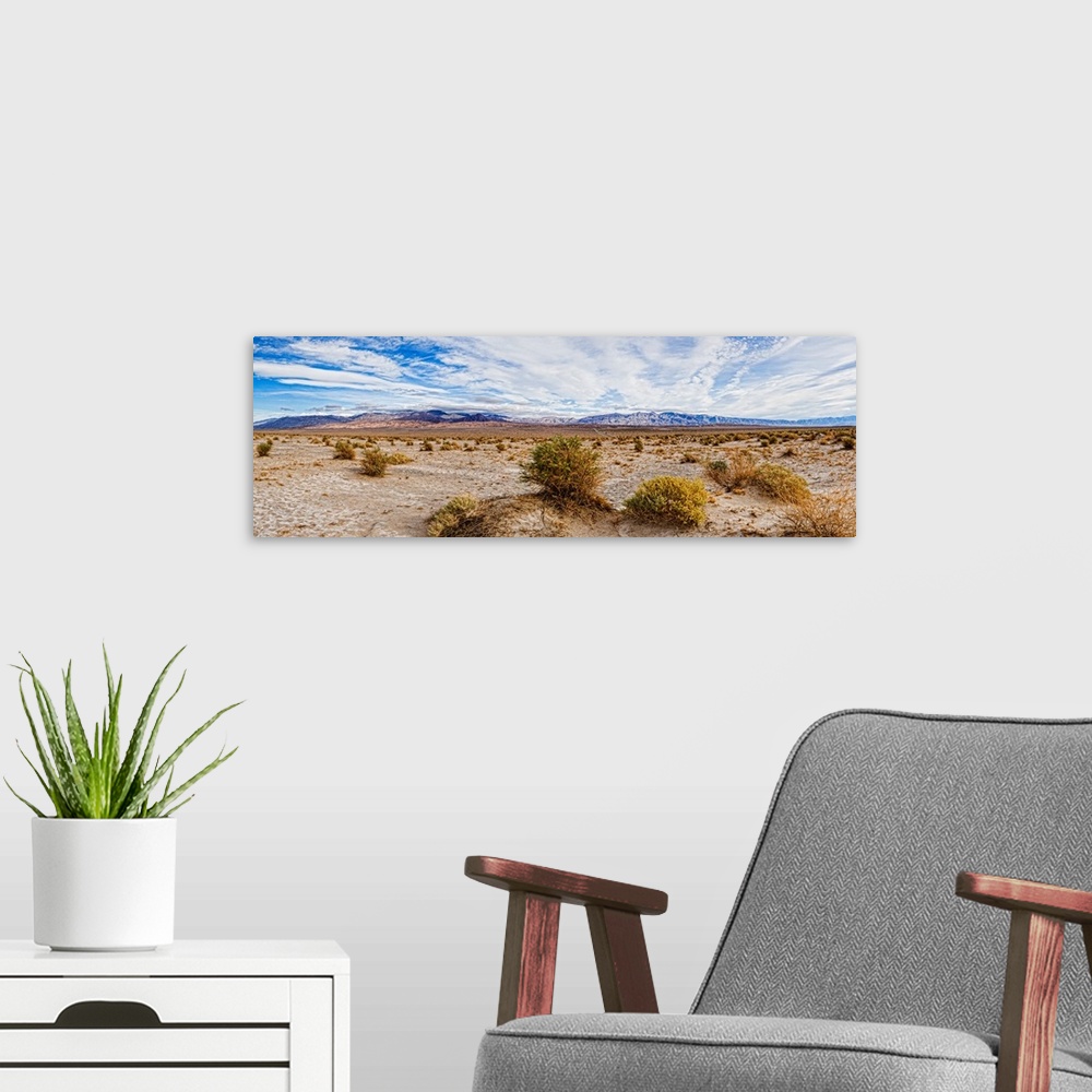 A modern room featuring Bushes in a desert, Death Valley, Death Valley National Park, California