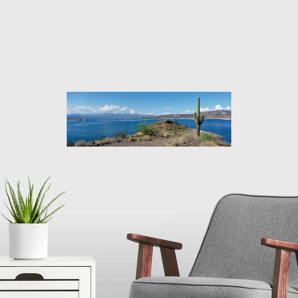 A modern room featuring Cactus at the lakeside with a mountain range in the background, Lake Pleasant, Arizona