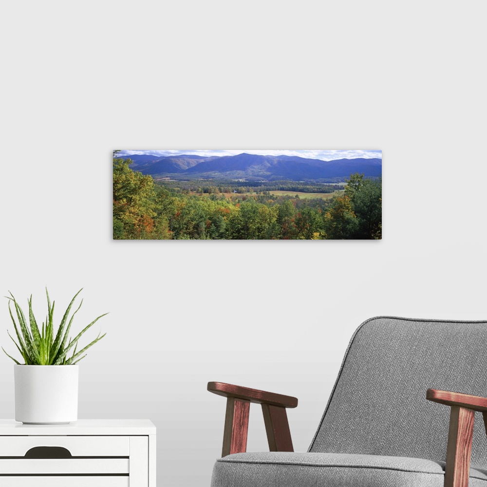 A modern room featuring Cades Cove, Great Smoky Mountains National Park, Tennessee