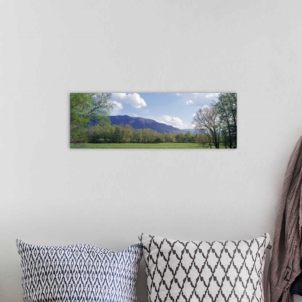 A bohemian room featuring Cades Cove Great Smoky Mtns National Park TN