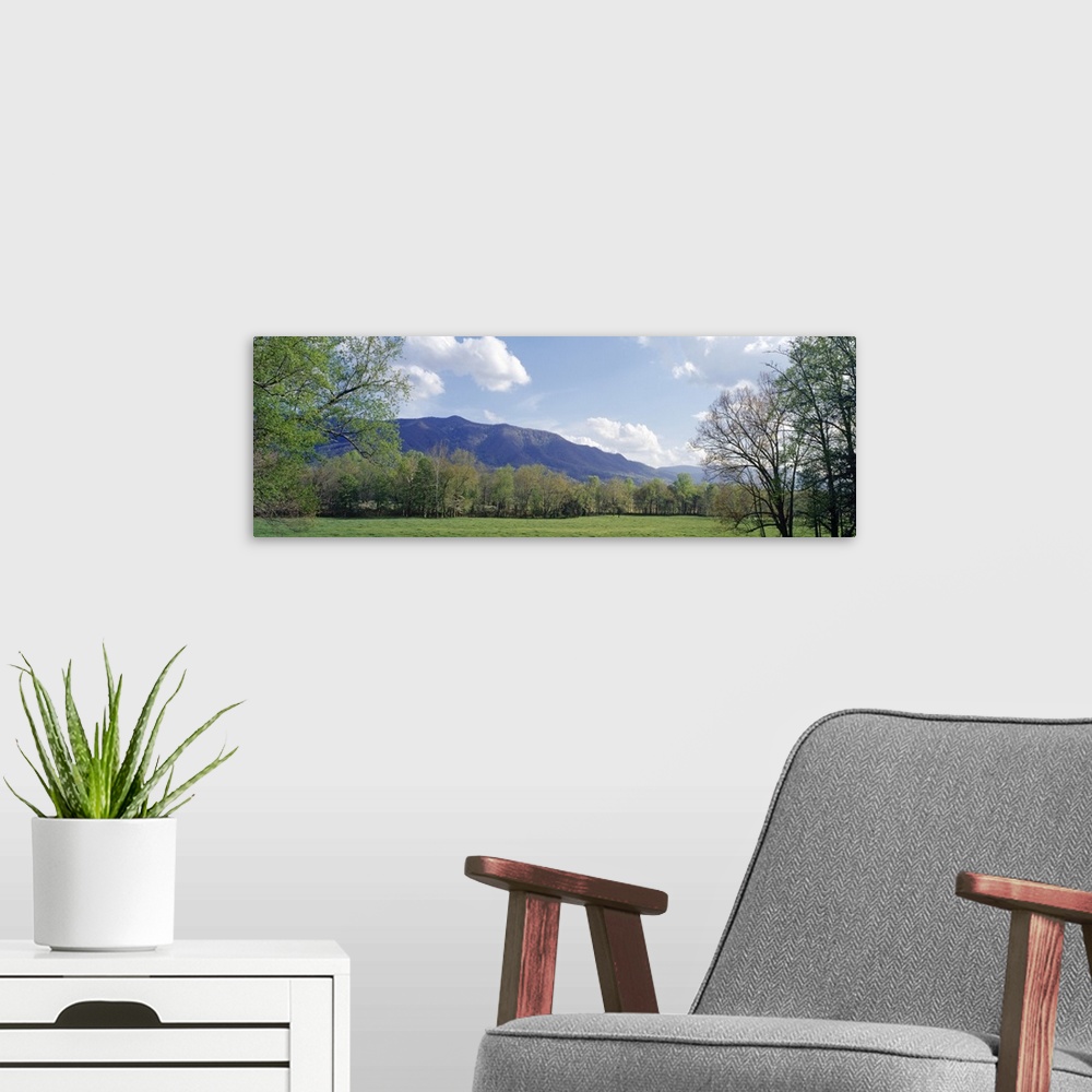 A modern room featuring Cades Cove Great Smoky Mtns National Park TN